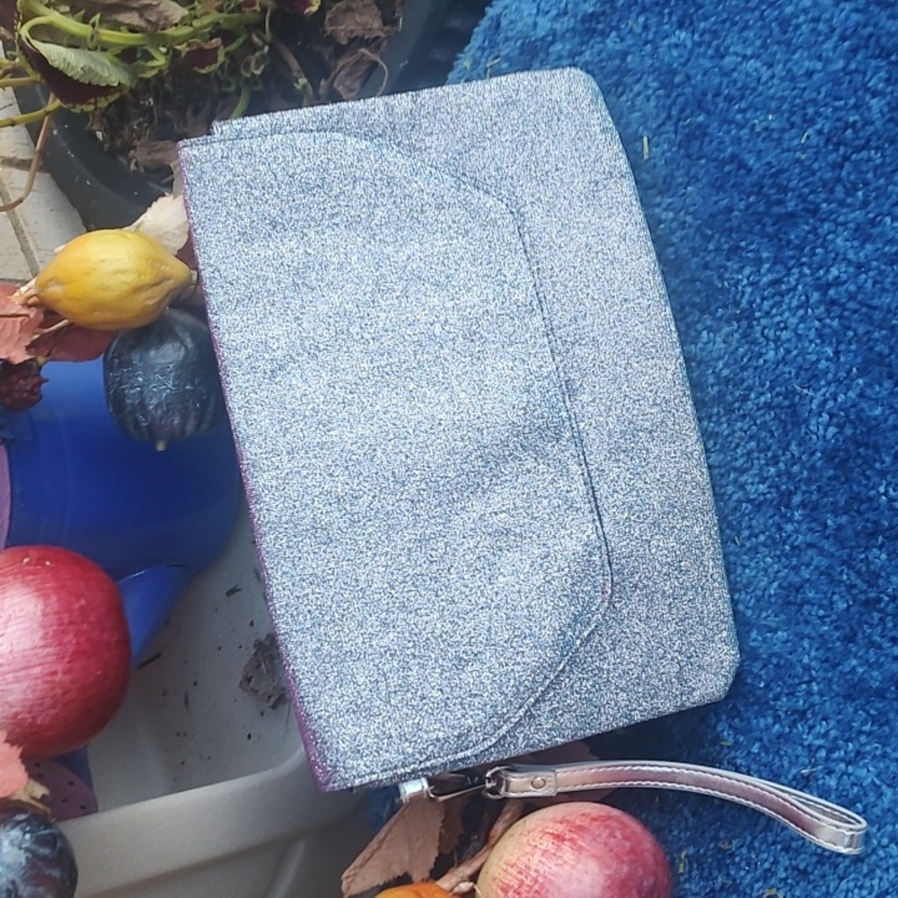 Silver Wristlet/Bag